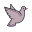 鸽子 icon