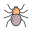 Spider icon