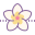 Flor de spa icon