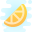 Citrus icon