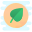 Organic Food icon