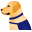 Blindenhund icon