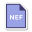 NEF icon