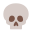 Skull icon