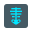 X-ray icon