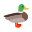 Canard icon