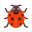 Ladybug icon