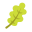 橡树叶 icon