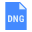 DNG icon