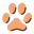 Cat Footprint icon