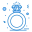 Diamond Ring icon