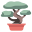 Bonsai icon