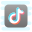 的TikTok icon