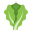 Lettuce icon