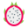 Frutto del drago icon