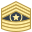 Command Sergeant Major CSM icon