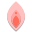 阴道 icon
