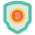 Bitcoin Security icon