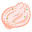 泡菜 icon