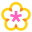 Spa Flower icon