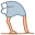 Cabeça da avestruz na areia icon