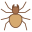 Spider icon