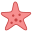 Starfish icon