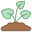 Sprout icon