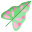 Caladium Leaf icon