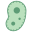 Bacteria icon