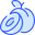 Plum icon
