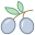 Aceituna icon