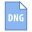 DNG icon