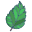 foglie-di-ibisco-esterno-icongeek26-colore-lineare-icongeek26 icon