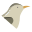 Bird icon