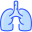 Pulmones icon