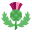 Schottische Distel icon