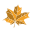 Maple leaf icon