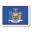 New York Flag icon