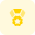 Flower shaped medal with star in centre icon