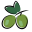 Aceituna icon