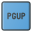 PGUP icon
