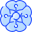 Hydrangea icon