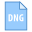 DNG icon