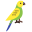 Budgie icon