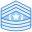 Command Sergeant Major CSM icon