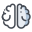 Gehirn icon