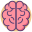 Human Brain icon