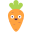 Carota icon