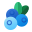 Blueberry icon